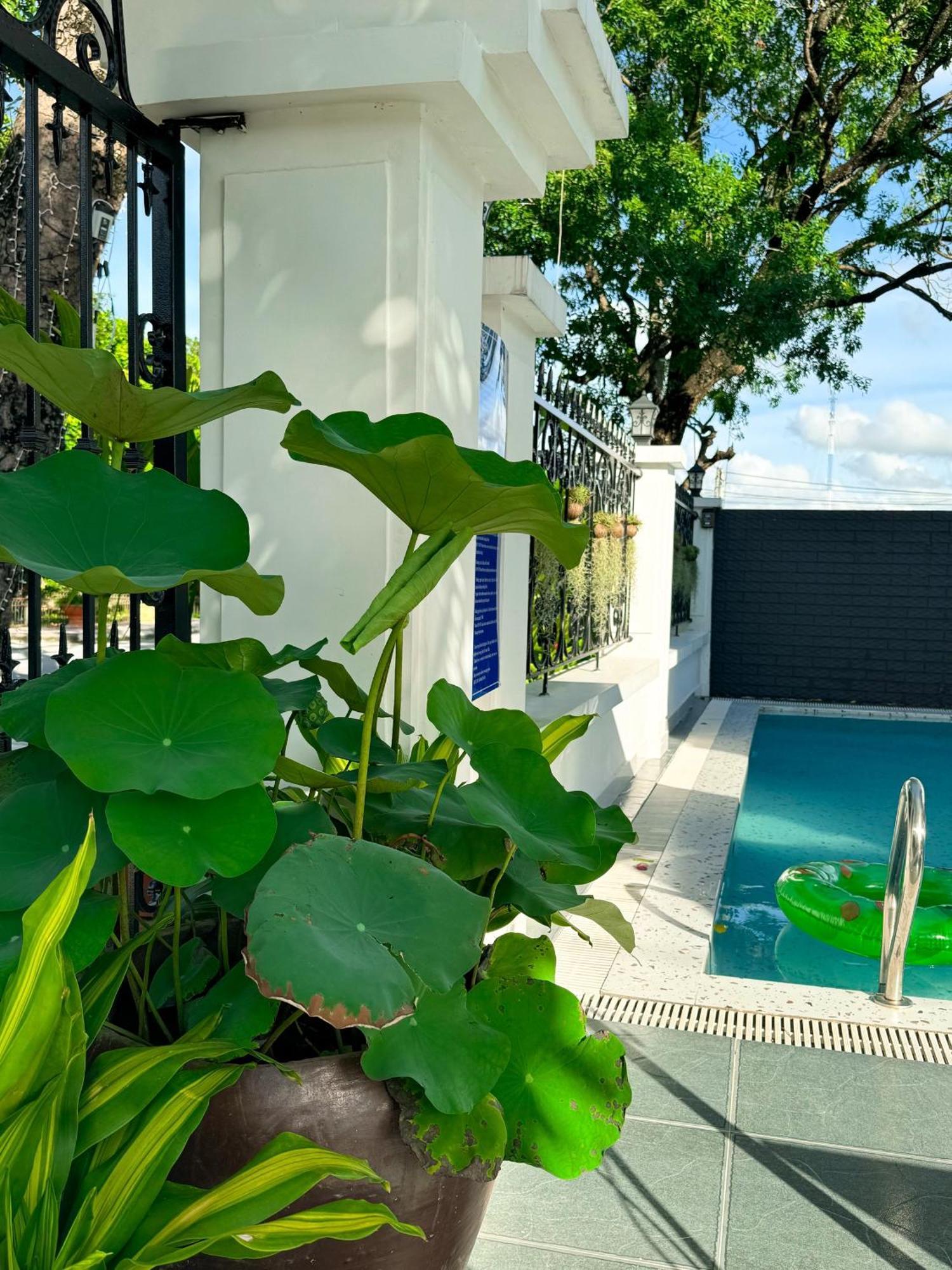 Tam Coc Sana Villa & Homestays Ninh Binh Eksteriør billede