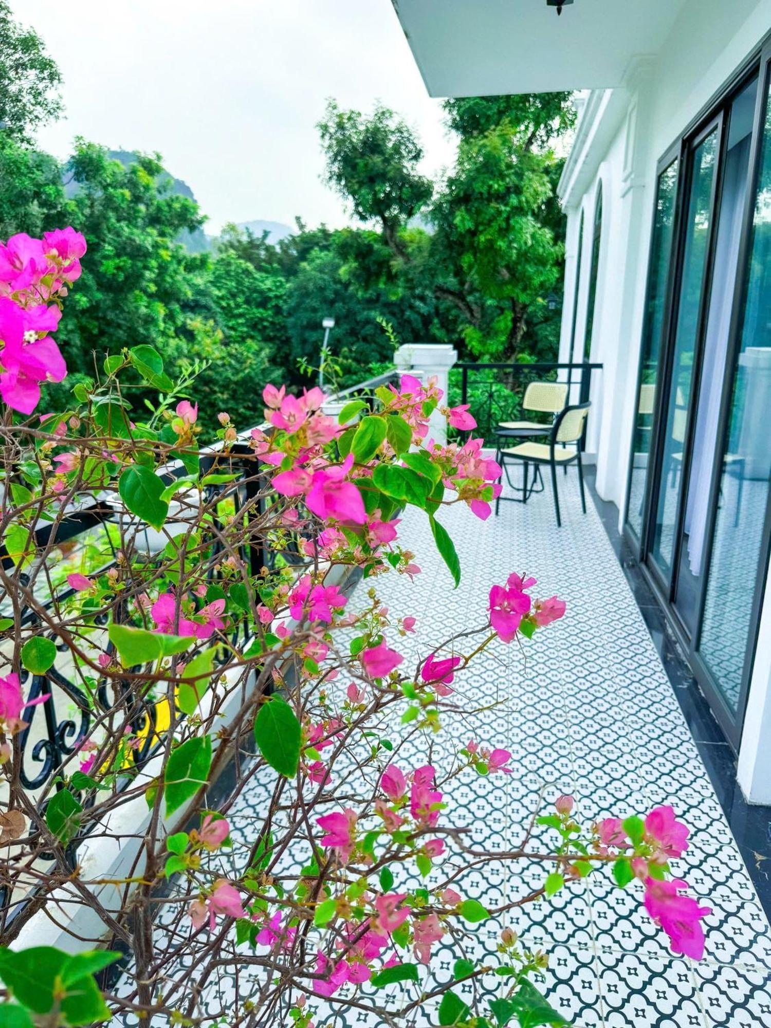 Tam Coc Sana Villa & Homestays Ninh Binh Eksteriør billede