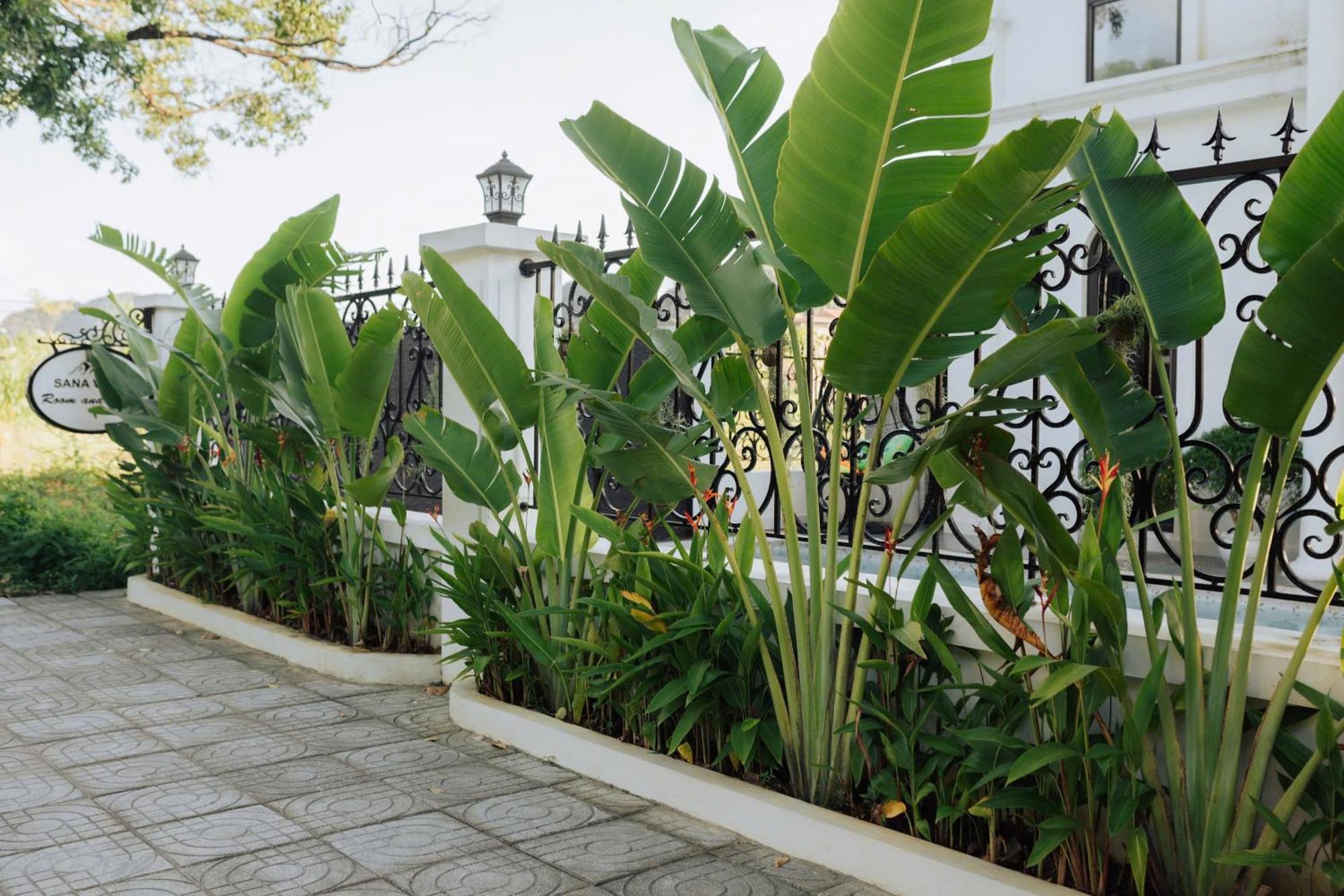 Tam Coc Sana Villa & Homestays Ninh Binh Eksteriør billede